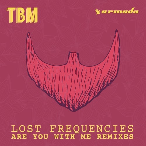 Lost Frequencies, Kungs, Harold Van Lennep-Are You With Me