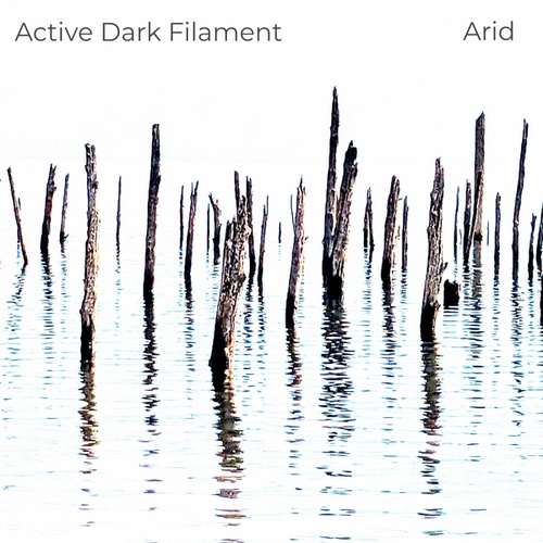 Active Dark Filament-Arid