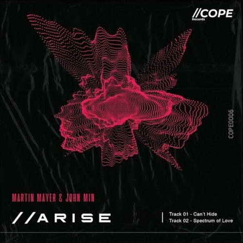 John Min, Martin Mayer-Arise