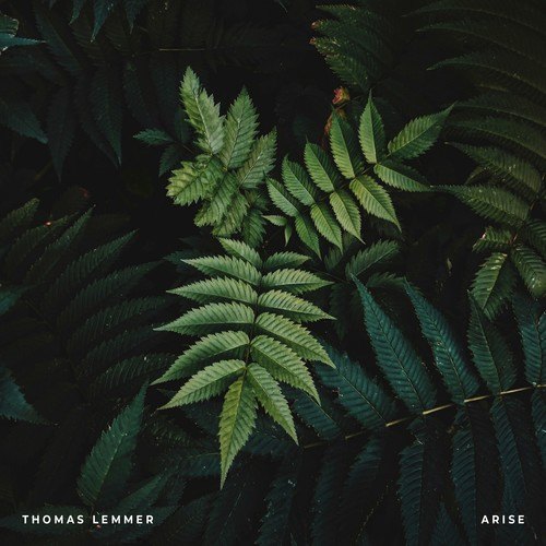 Thomas Lemmer-Arise