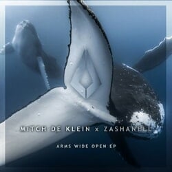 Arms Wide Open - Mitch De Klein, Zashanell