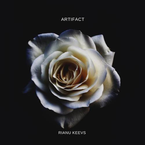 Rianu Keevs-Artifact