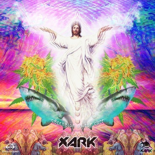 Xark-Ascension to the Cure