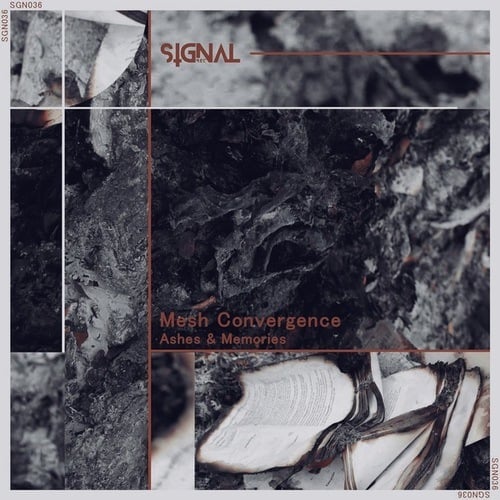 Mesh Convergence-Ashes & Memories
