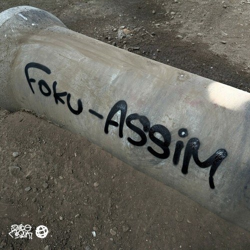 FOKU-Assim