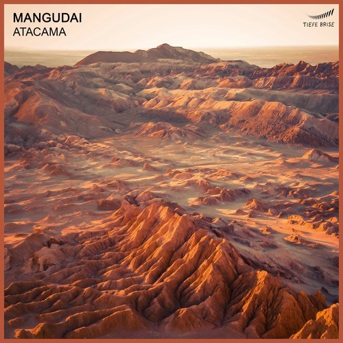 Mangudai-Atacama