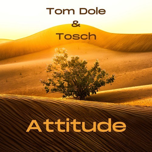Tom Dole, Tosch-Attitude