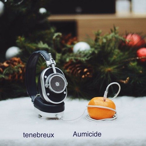 Tenebreux-Aumicide