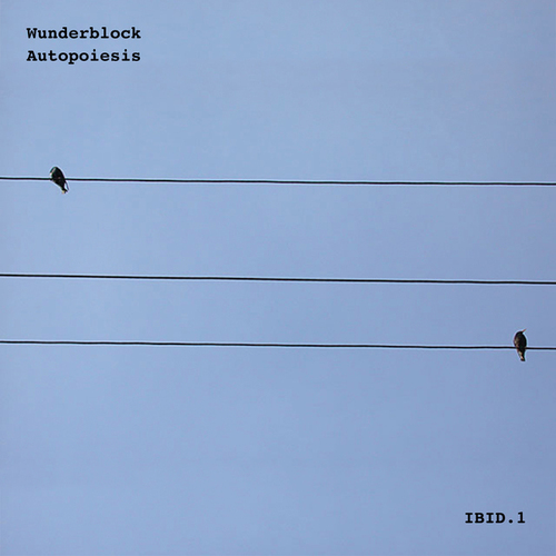 Wunderblock, Arcuation-Autopoiesis