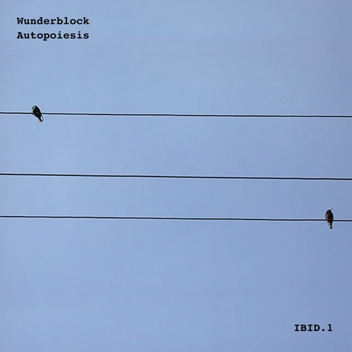 Wunderblock, Arcuation-Autopoiesis