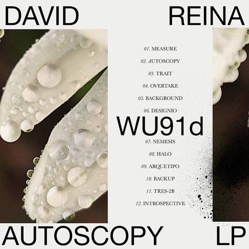 David Reina-Autoscopy LP