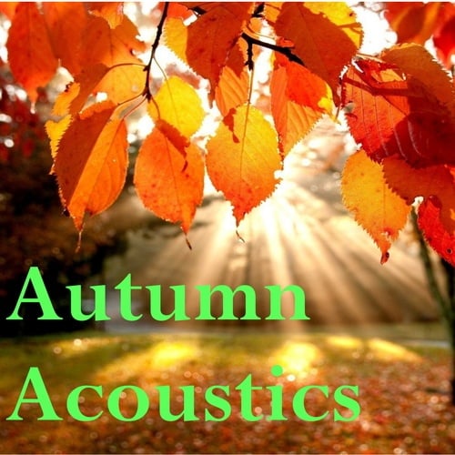 Various Artists-Autumn Acoustics