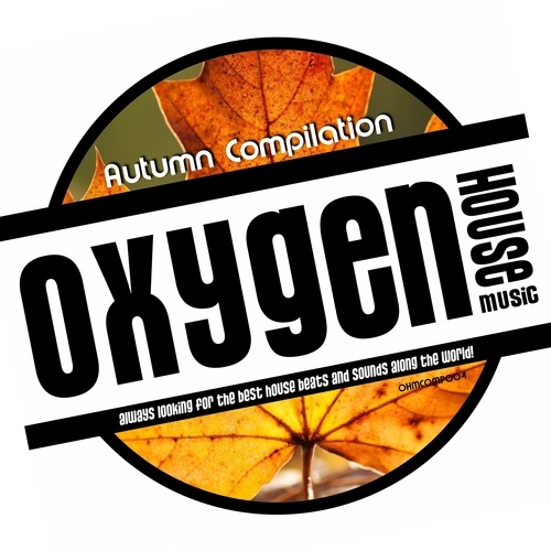 Various Artists-Autumn Compilation OHM 2020