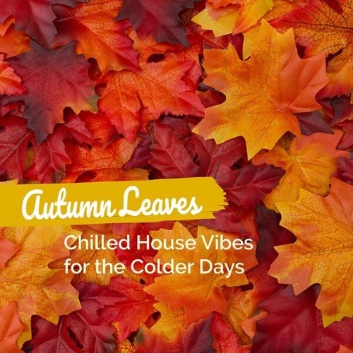 Various Artists-Autumn Leaves: Chilled House Vibes for the Colder Days