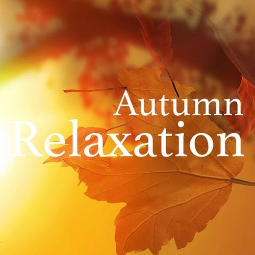 Autumn Relaxation