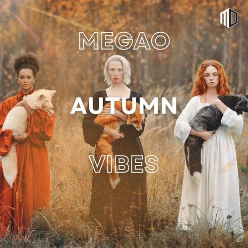 Various Artists-Autumn Vibes