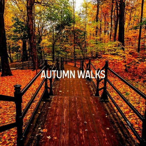 Autumn Walks