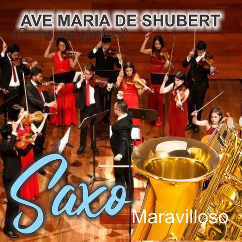 Ave Maria De Shubert