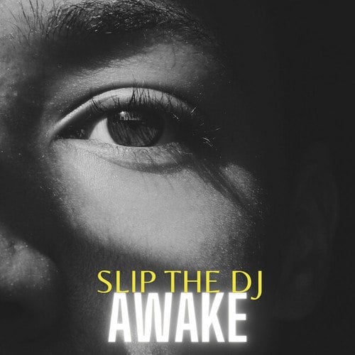 Slip The DJ-Awake