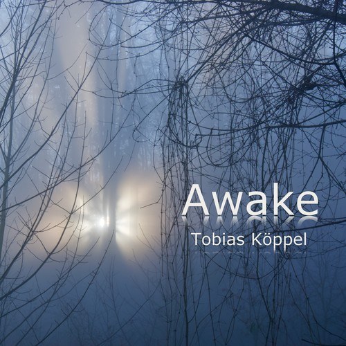 Tobias Köppel-Awake