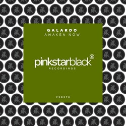 Awaken Now - Galardo