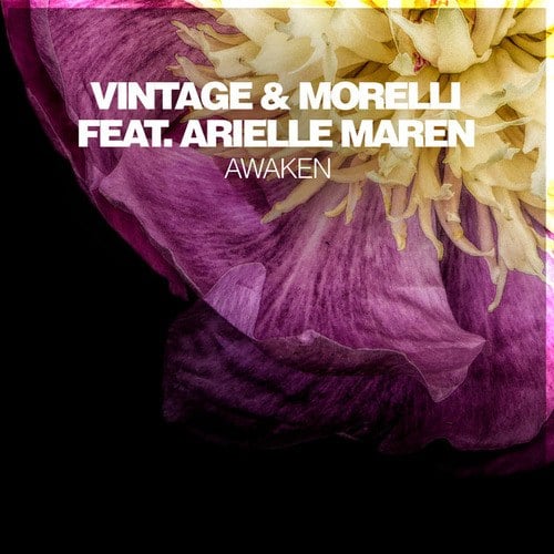 Vintage & Morelli, Arielle Maren-Awaken