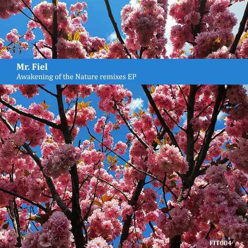 Mr. Fiel, Charles Webster, Norek, BDTom, From P60-Awakening of the Nature (Remixes)