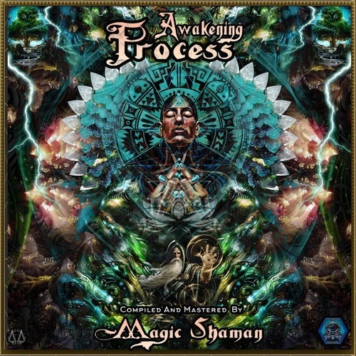 Various Artists-Awakening Process