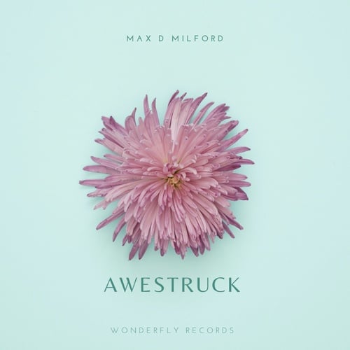 Max D Milford-Awestruck