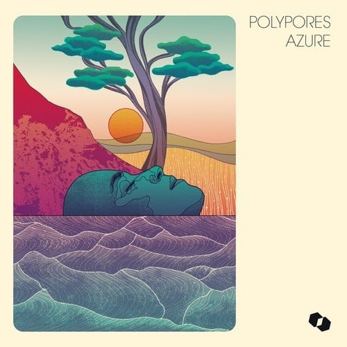 Polypores-Azure