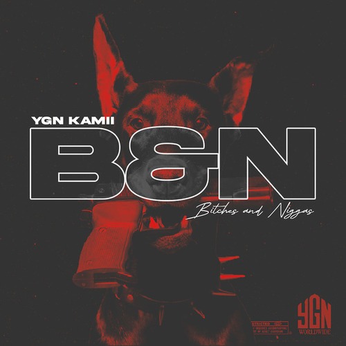 YGN KAMII-B&N (Bitches & Niggas)