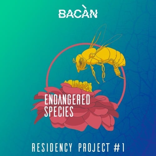 Bacàn Residency Project, No. 1