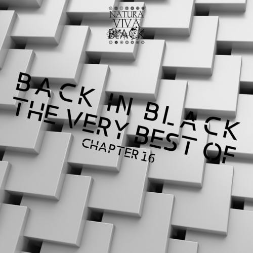 Back in Black! Chapter 16
