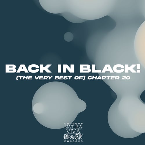 Various Artists-Back in Black! Chapter 20