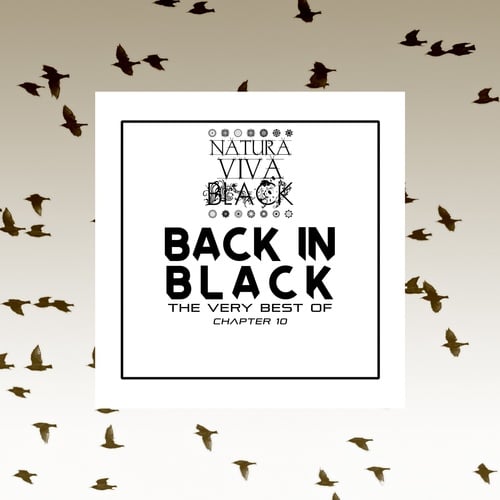 Various Artists-Back in Black! (The Very Best of) Chapter 10
