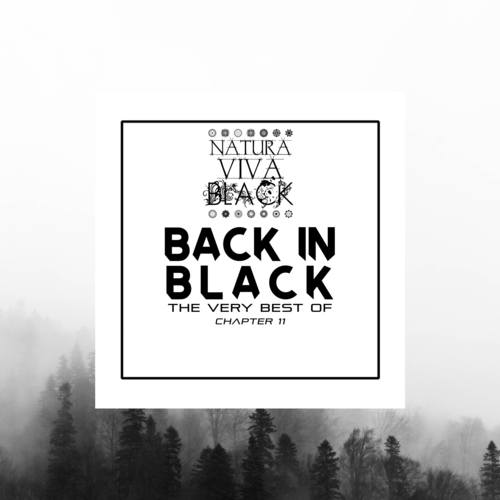 Various Artists-Back in Black! (The very best of) Chapter 11