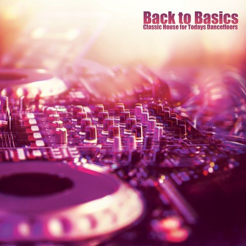 Various Artists-Back to Basics: Classic House for Todays Dancefloor