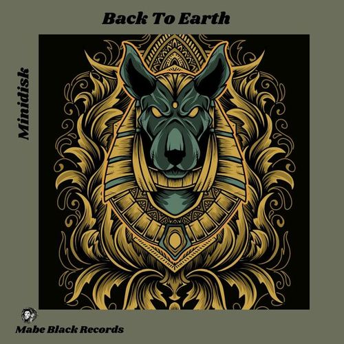 Minidisk-Back to Earth