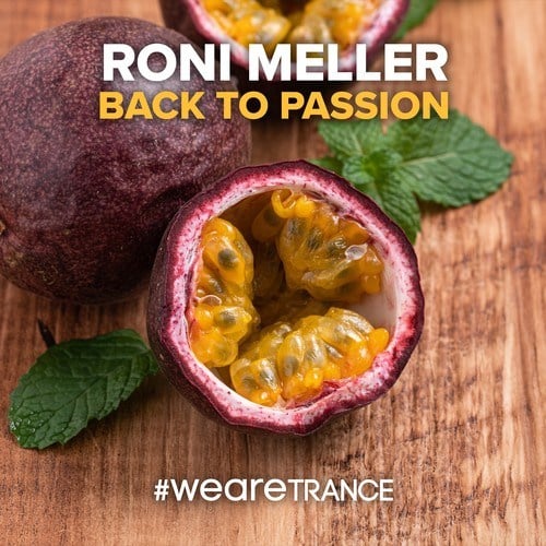 Roni Meller-Back to Passion