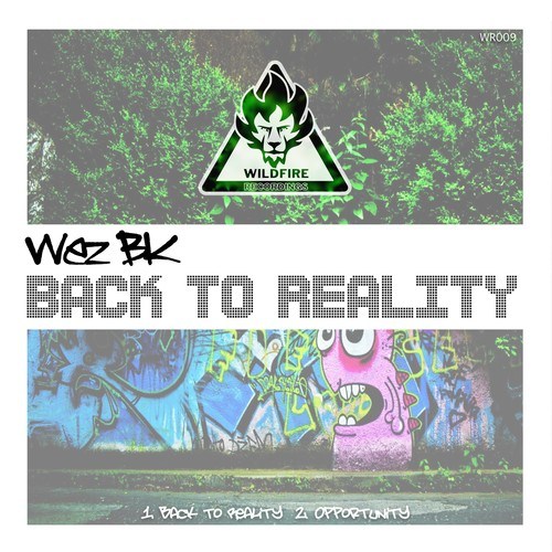 Wez BK-Back to Reality