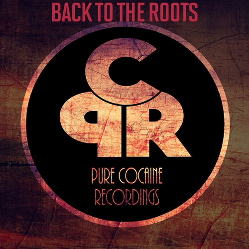 Cristian Mulz, Diego Walle, DJ Kunze, Donn Voyage-Back To The Roots