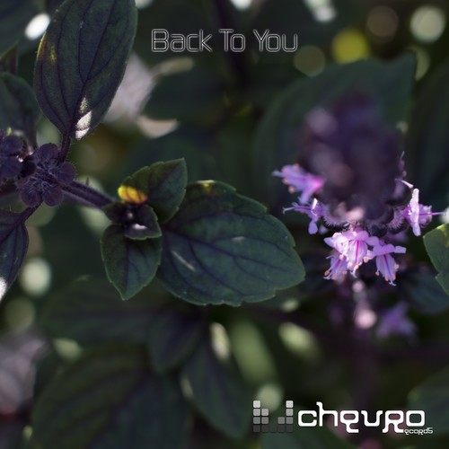 Chevro-Back to You
