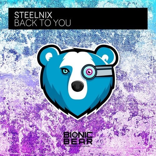 SteelniX-Back to You