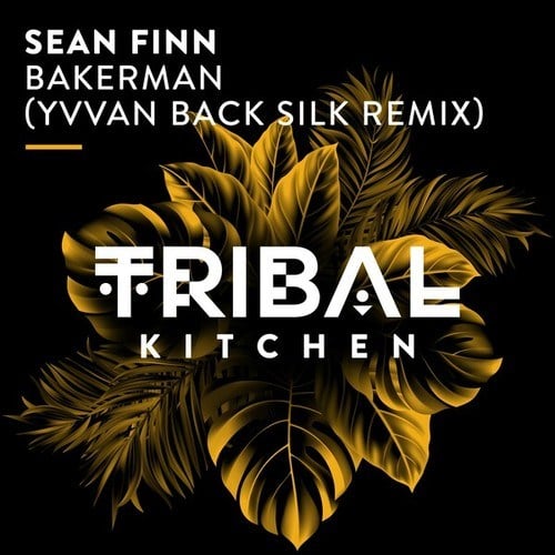 Sean Finn, Yvvan Back-Bakerman (Yvan Back Silk Extended Remix)