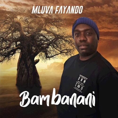 Mluva Fayando-Bambanani
