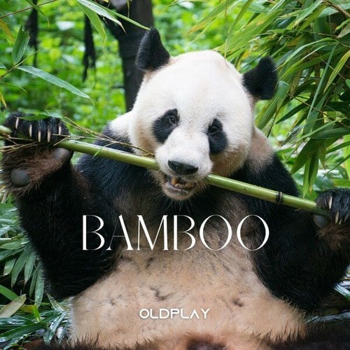 OldPlay-Bamboo