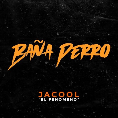 Jacool-Baña Perro