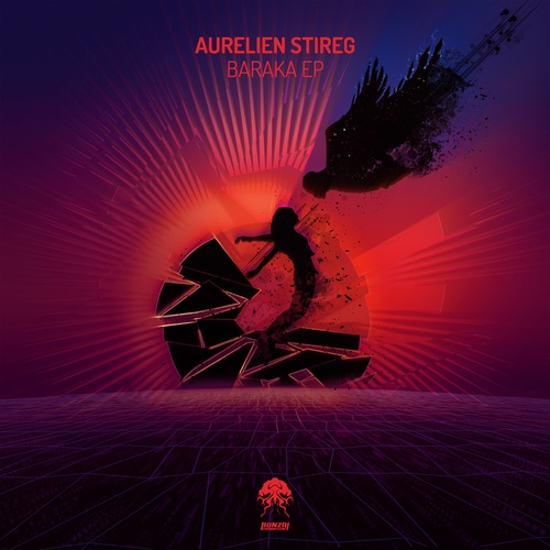 Aurelien Stireg-Baraka EP