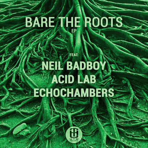 Acid Lab, Neil Badboy, Echochambers-Bare the Roots