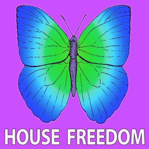 Various Artists-Basal House